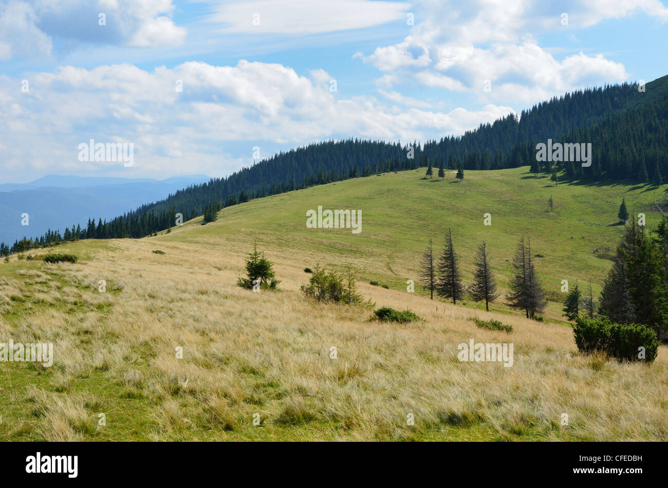 Polonina in the Carpathian Mountains. Stock Photo
