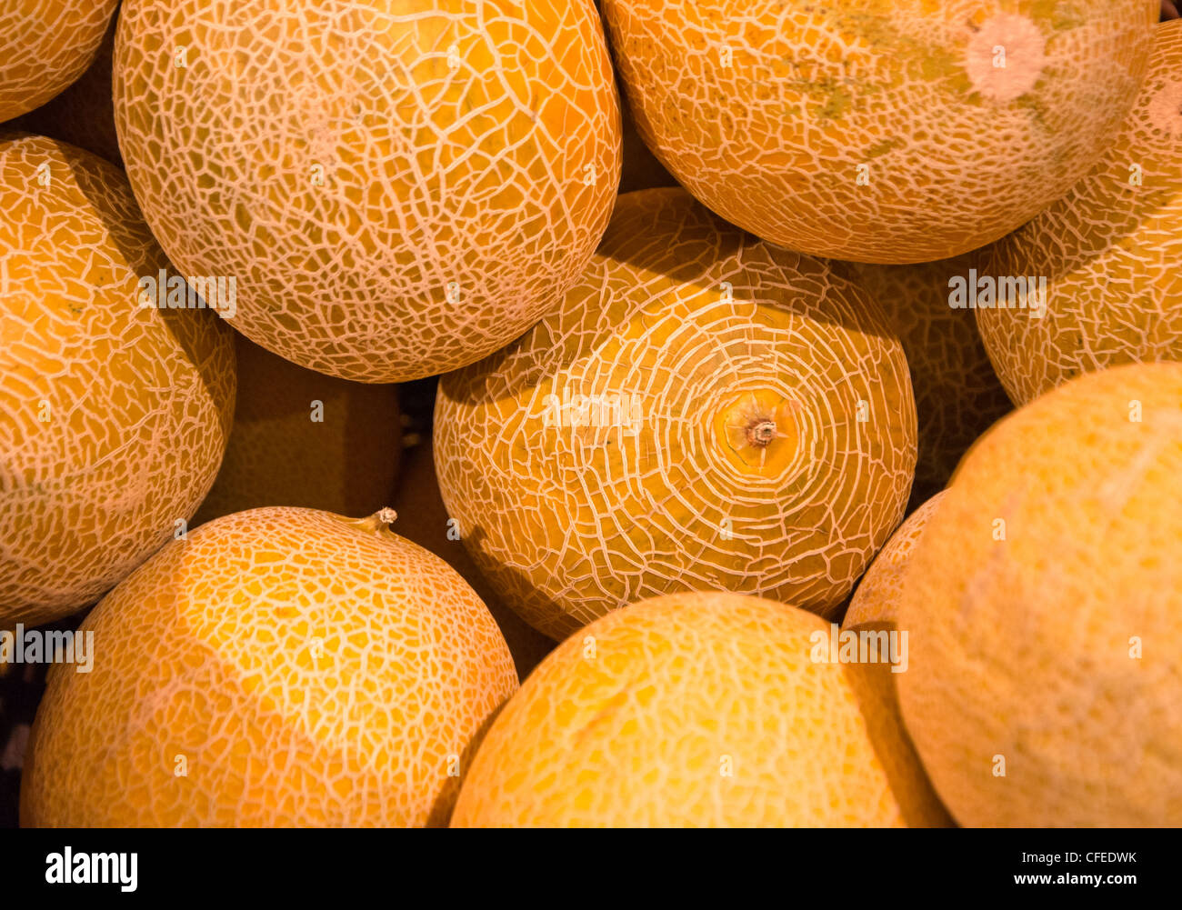 Cantaloupe Melons on sale Stock Photo Alamy