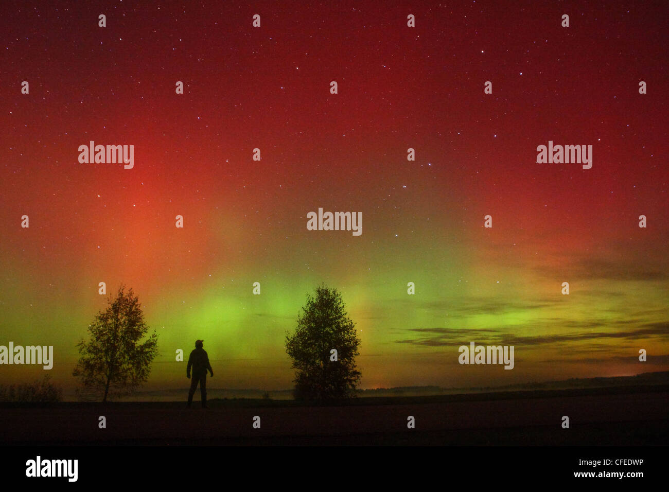 A man standing and watching Northern lights (Aurora Borealis) in the sky. Europe, Estonia Stock Photo