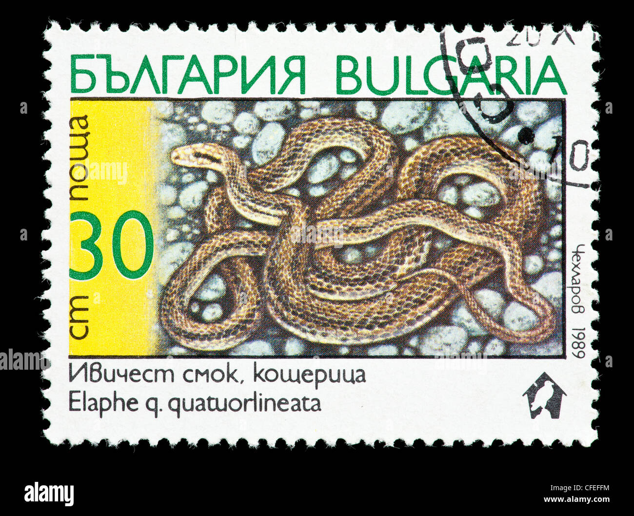 Postage stamp from Bulgaria depicting a snake (Elaphe quatuorlineata) Stock Photo