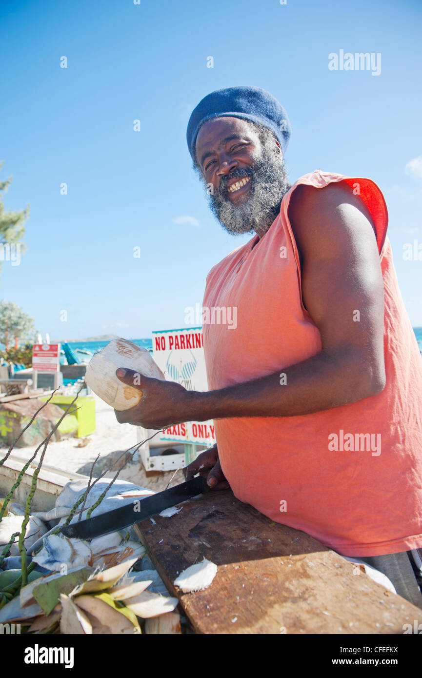 Sea of coconuts hires stock photography and images Alamy