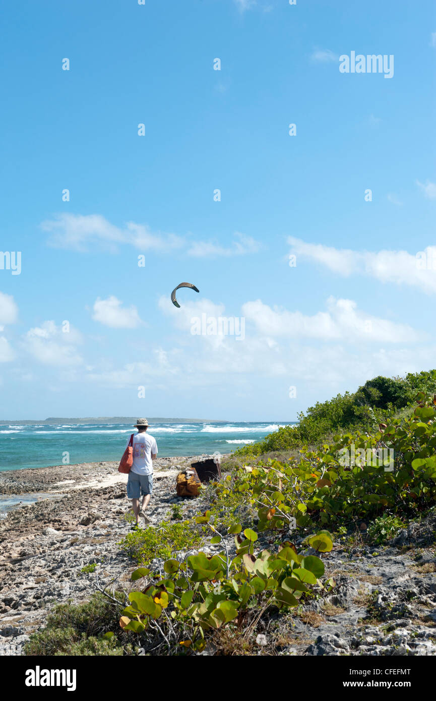 Man walking on caribbean beach hi-res stock photography and images - Alamy