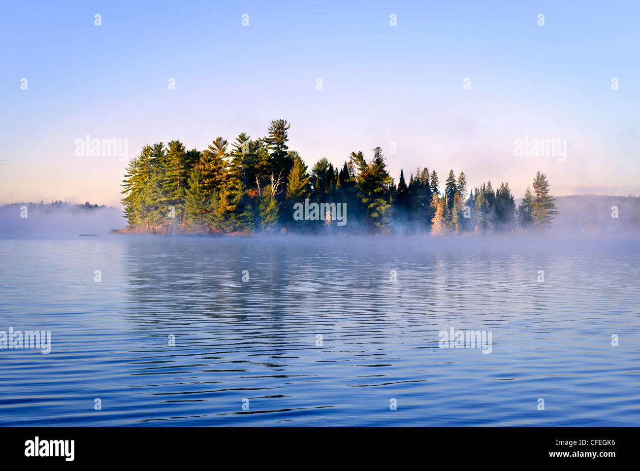 Lakes and fog trees hi-res stock photography and images - Alamy