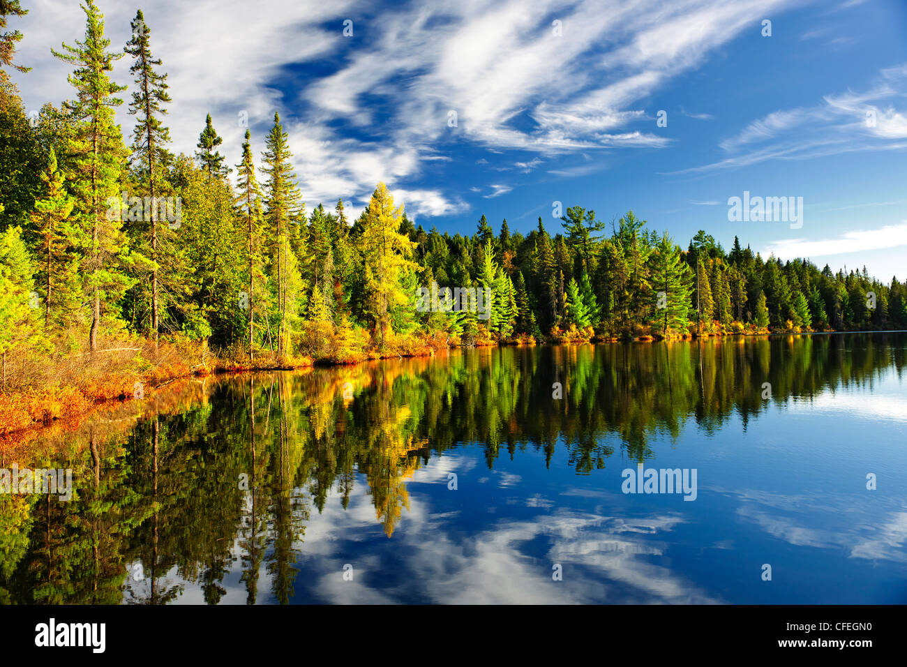 Algonquin national park hires stock photography and images Alamy