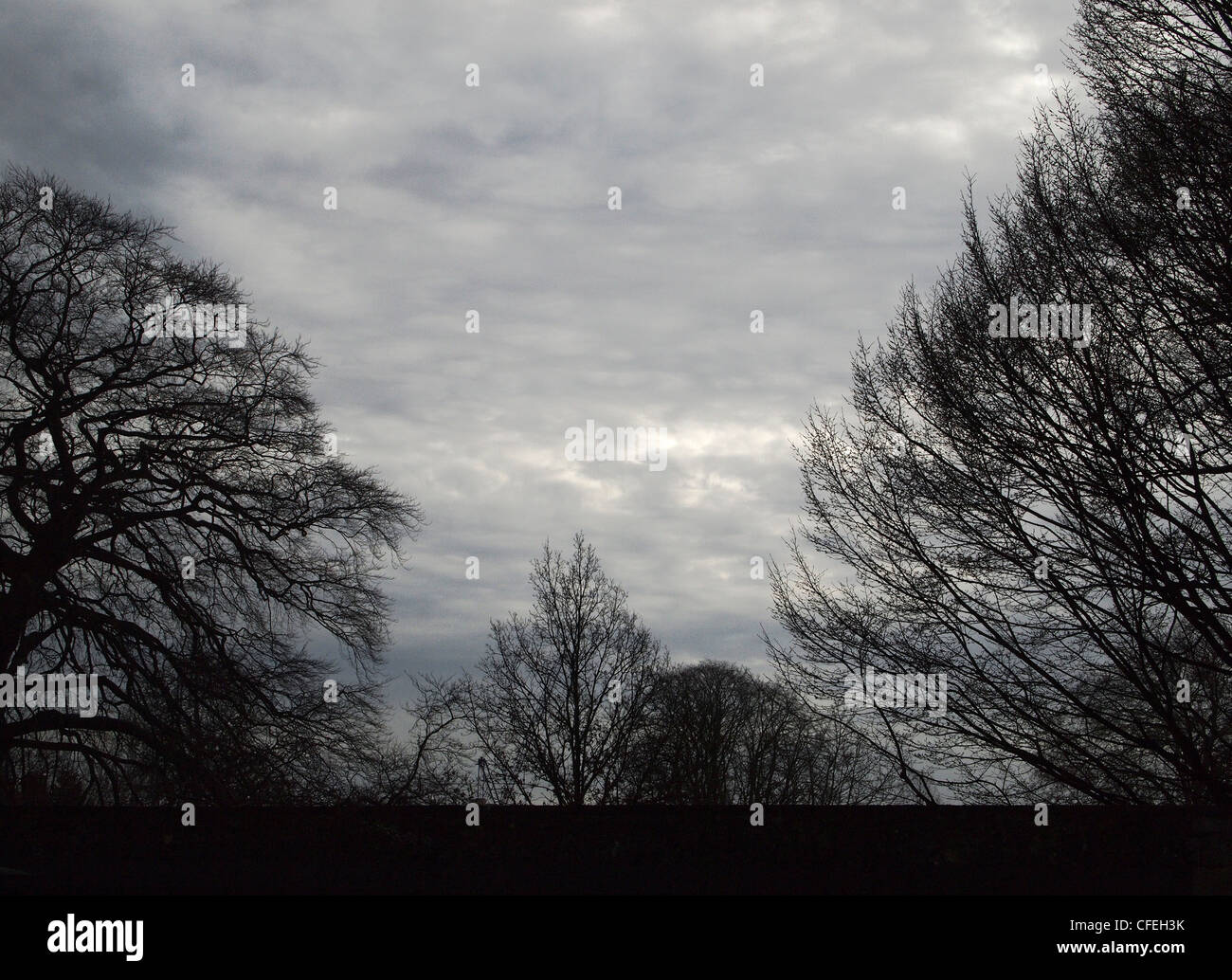 storm clouds and trees creating a moody image Stock Photo - Alamy