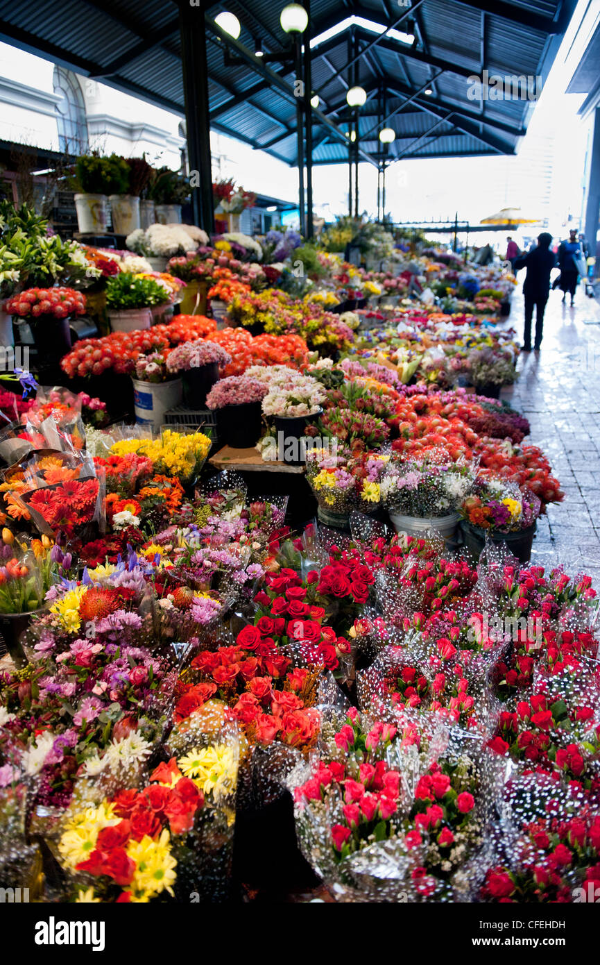 Cape Town Trafalgar Place Adderley Street Flower market, Cape Town