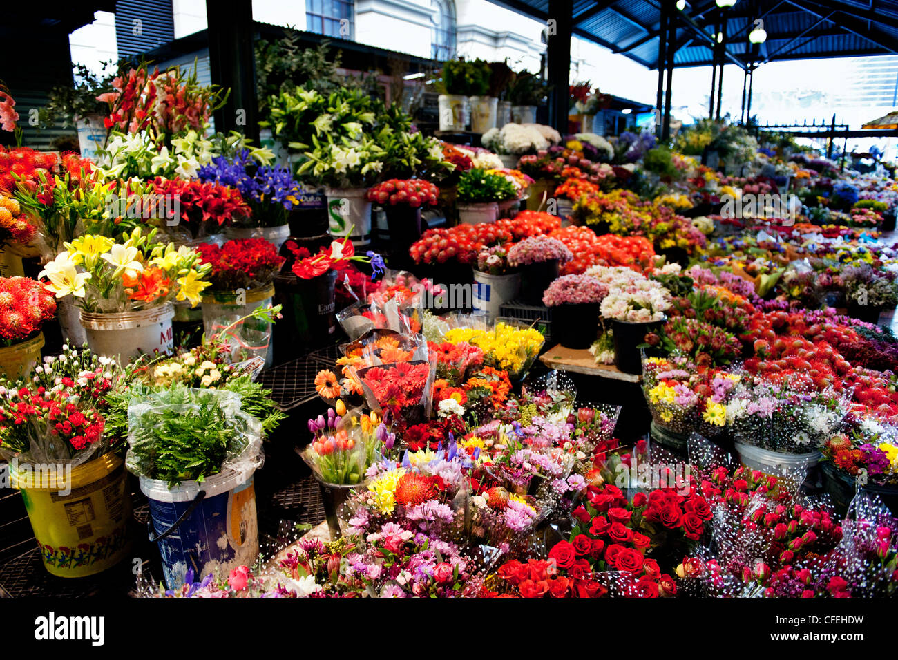 Cape Town Trafalgar Place Adderley Street Flower market, Cape Town