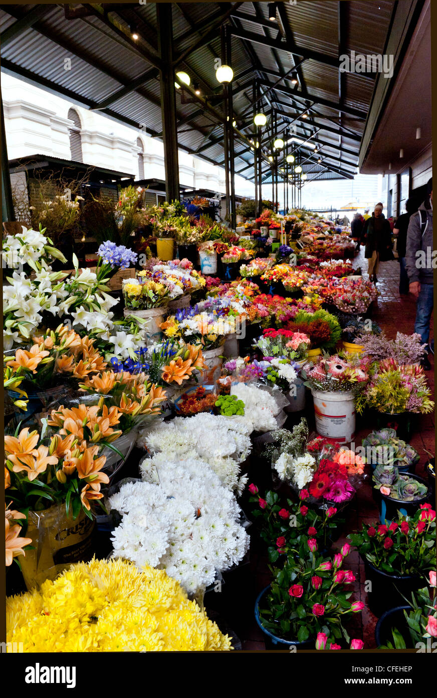Cape Town Trafalgar Place Adderley Street Flower market, Cape Town