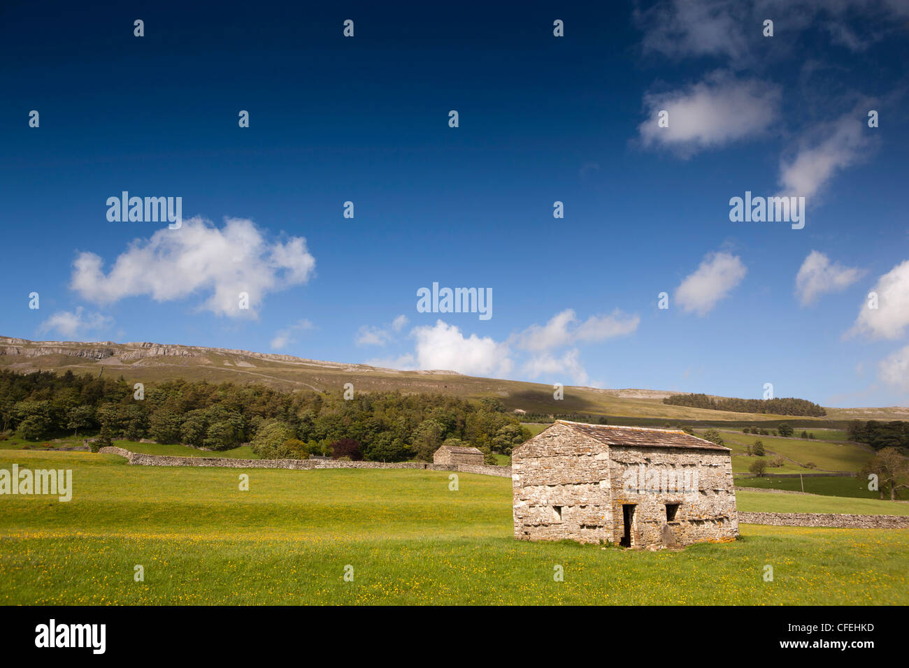 UK, England, Yorkshire, Wensleydale, Askrigg, stone field barn in meadow below Blue Scar Stock Photo