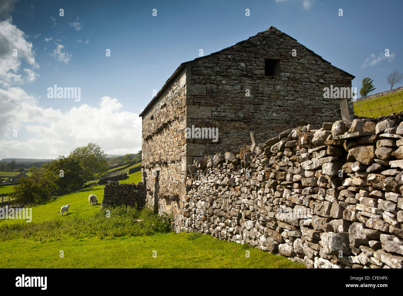UK, England, Yorkshire, Wensleydale, Askrigg, stone field barn Stock Photo