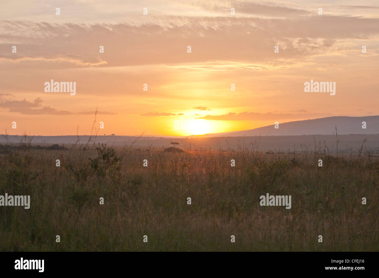 Masai mara sunrise hi-res stock photography and images - Alamy