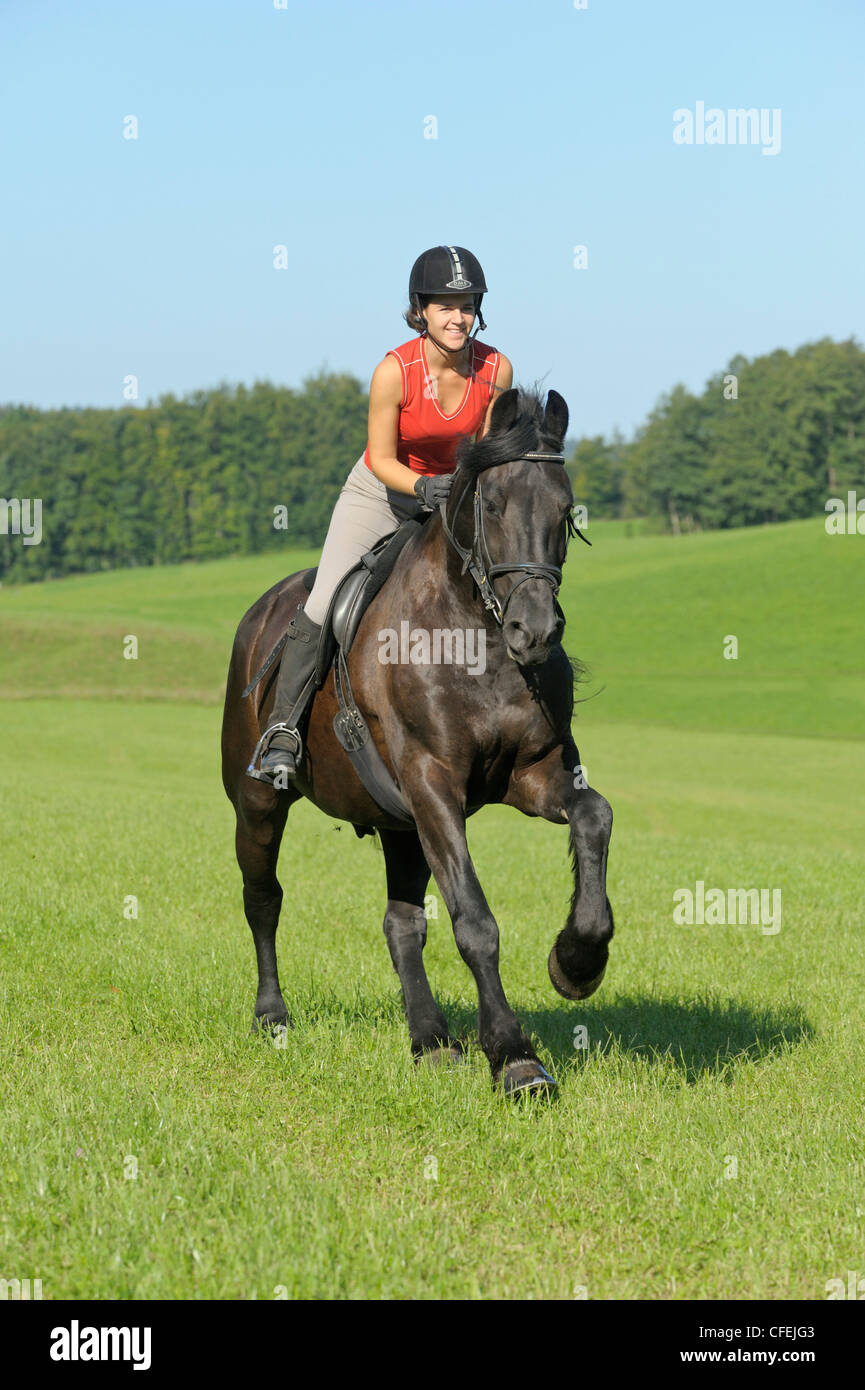 Friesian horse riding hi-res stock photography and images - Alamy
