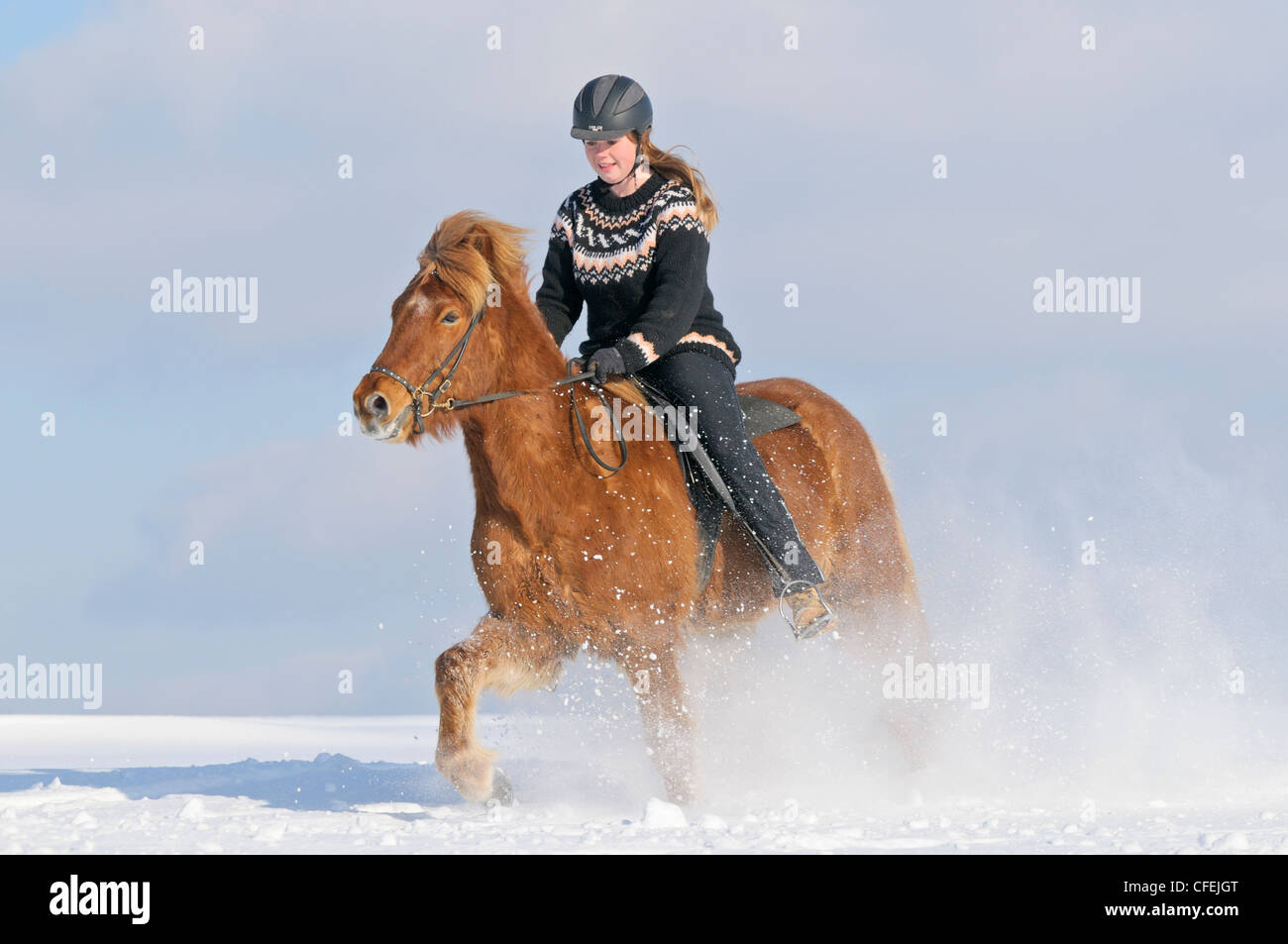 Girl riding on back of an Icelandic horse in deep snow Stock Photo