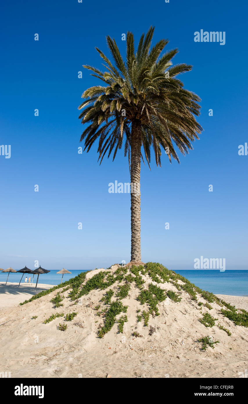 Mediterranean beach north of Sousse in Tunisia, North Africa Stock ...