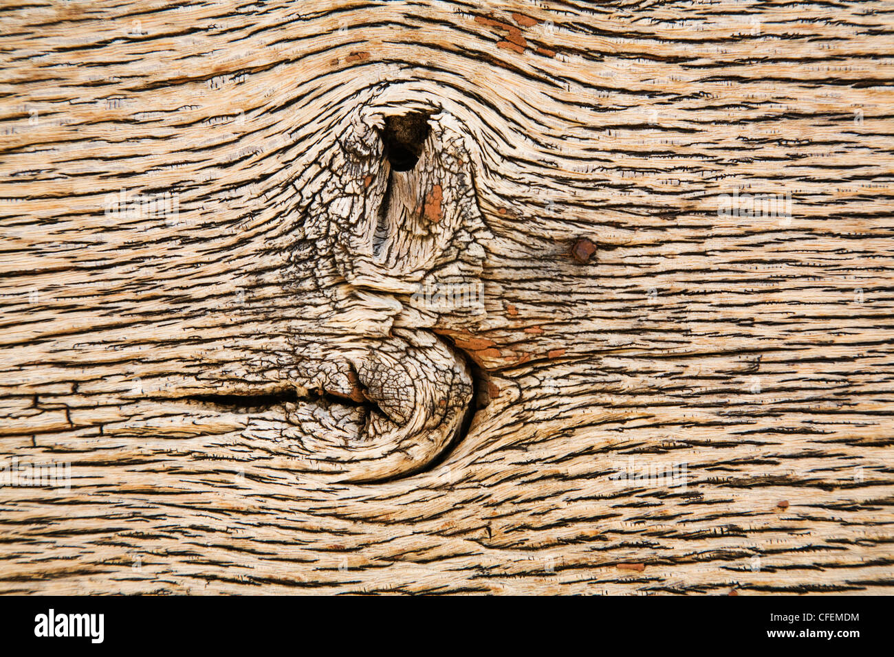 Knot Wood Tree High Resolution Stock Photography and Images Alamy