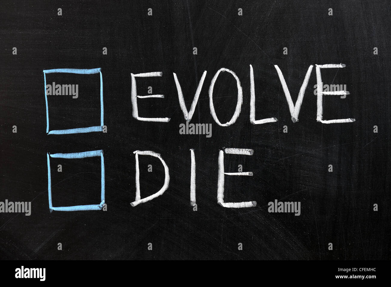 Chalk drawing - Evolve or die Stock Photo