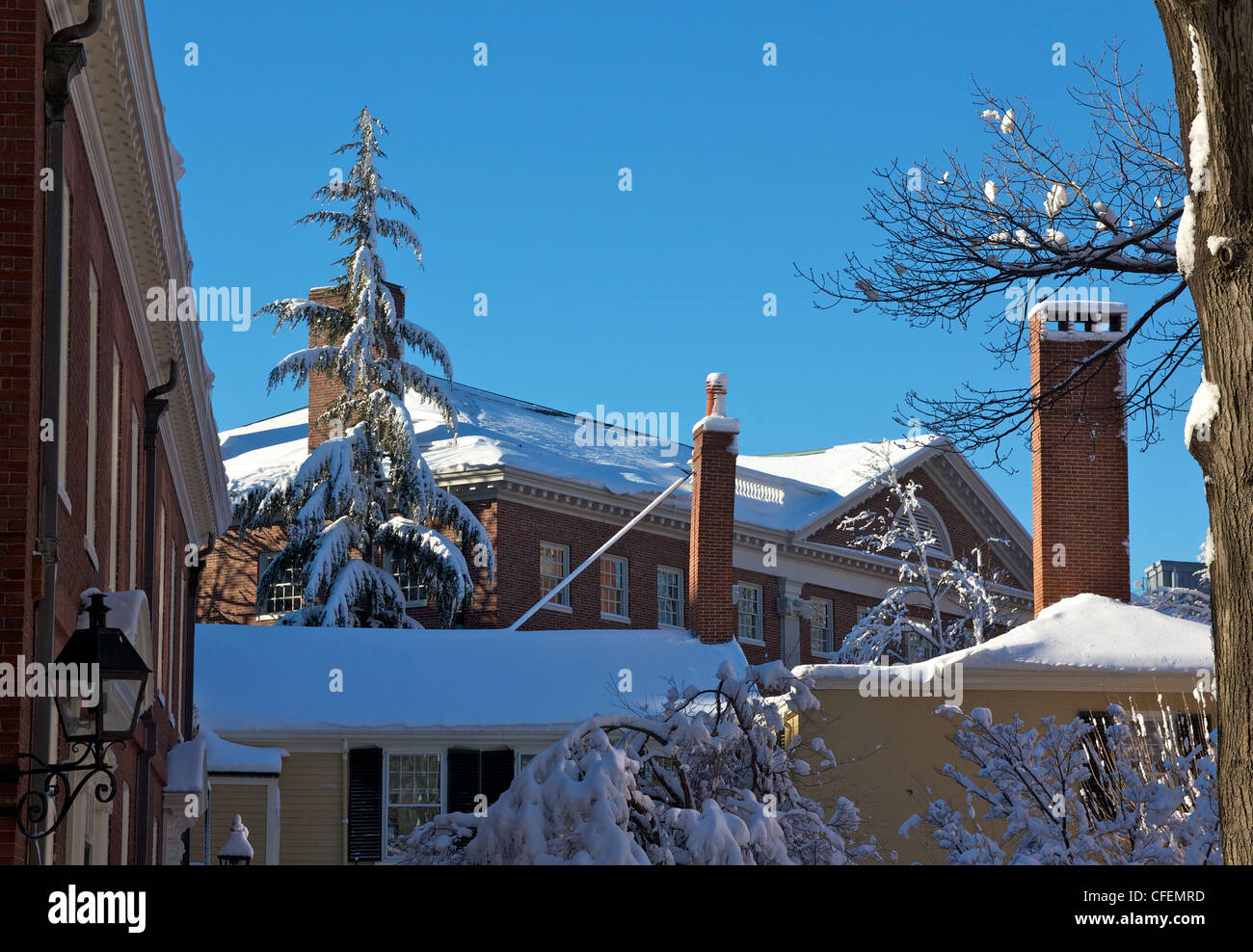 Lehman and Wadsworth, buildings in Harvard Yard, the old center of Harvard University's campus, in winter. Stock Photo