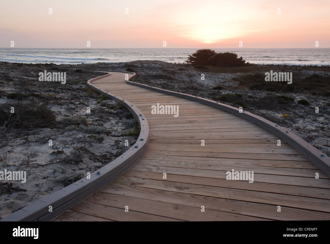 Sunset over a walkway through sand dunes at Asilomar State Park in ...