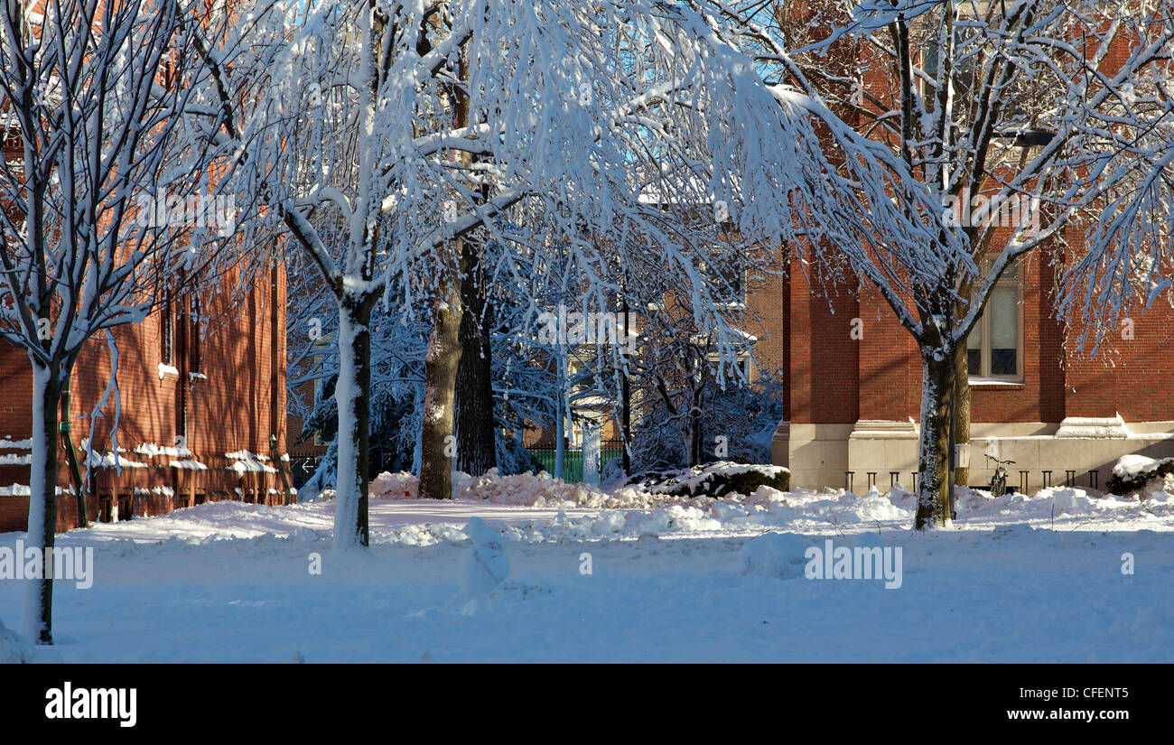 Classic red brick dorm buildings of Harvard University's campus in