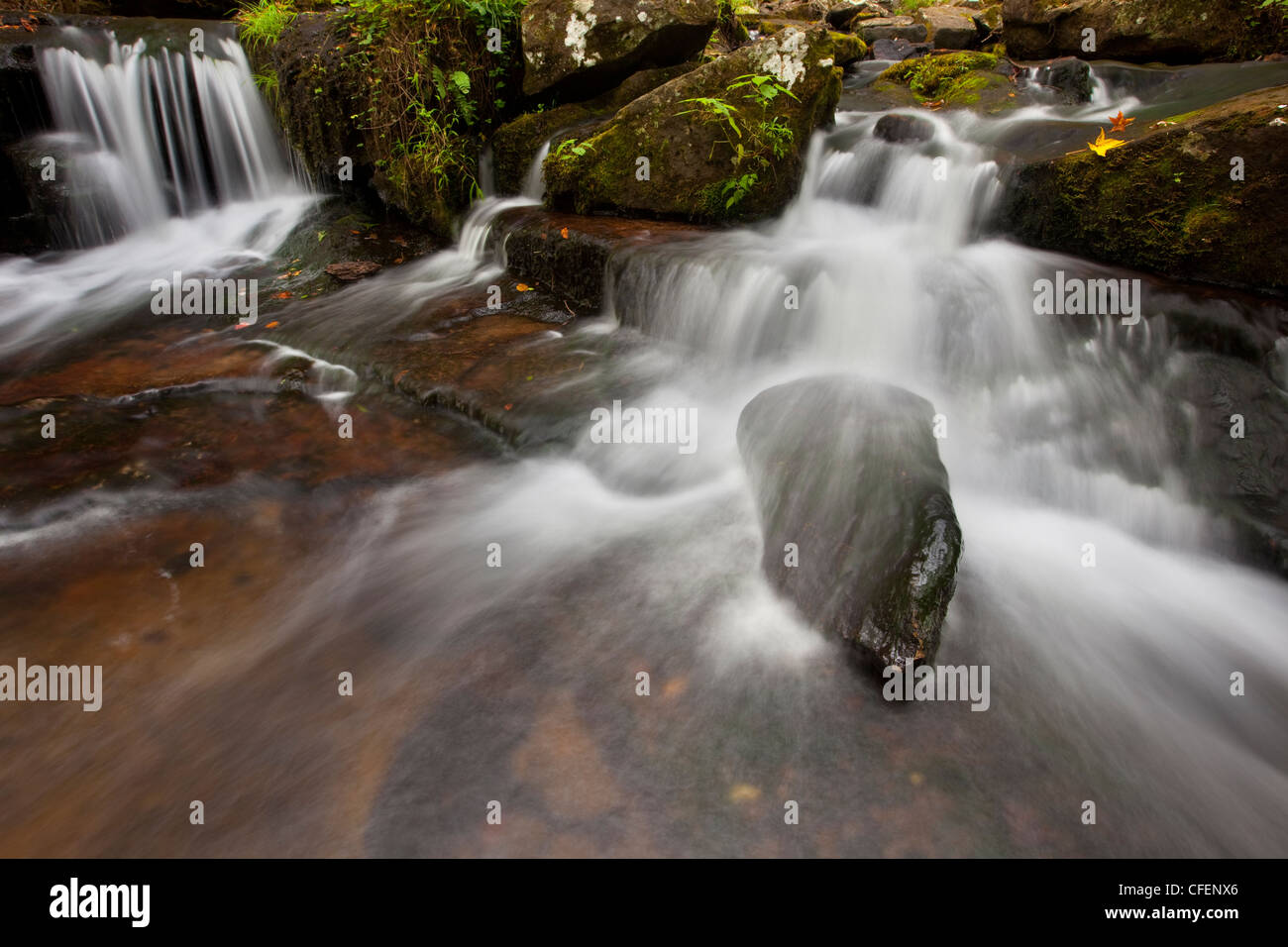 Waterfall at Collins Creek, Ozark Mountains, Heber Springs, Arkansas – USA Stock Photo