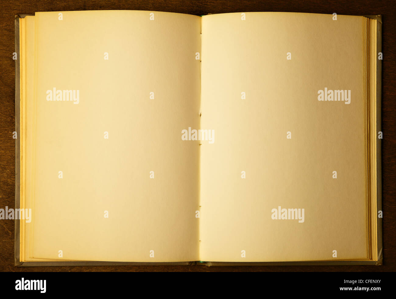 Opened book with blank pages on wooden table Stock Photo