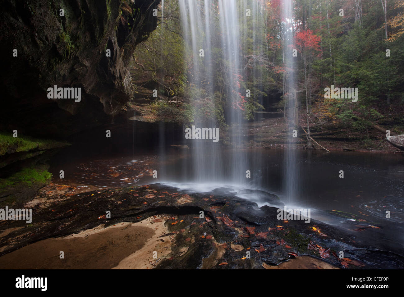 Fall colors and waterfall in the Sipsey Wilderness, Bankhead National