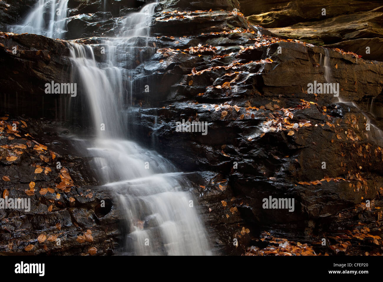 Fall colors and waterfall in the Sipsey Wilderness, Bankhead National