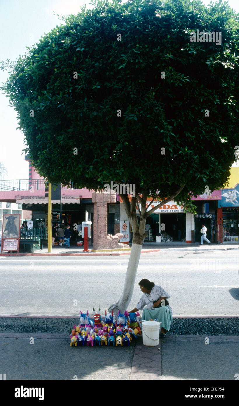 A woman sets up her stall selling dolls beneath a tree in a Tijuana street Mexico Stock Photo