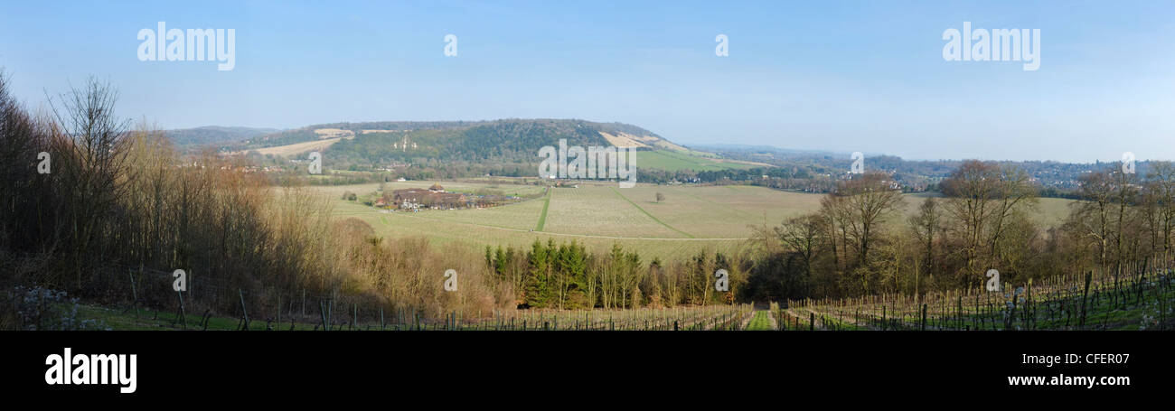Panoramic view over Denbies wine estate, near Dorking, Surrey, England. Stock Photo