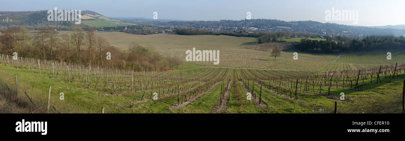 Panoramic View over Denbies wine estate, near Dorking, Surrey, England. Stock Photo