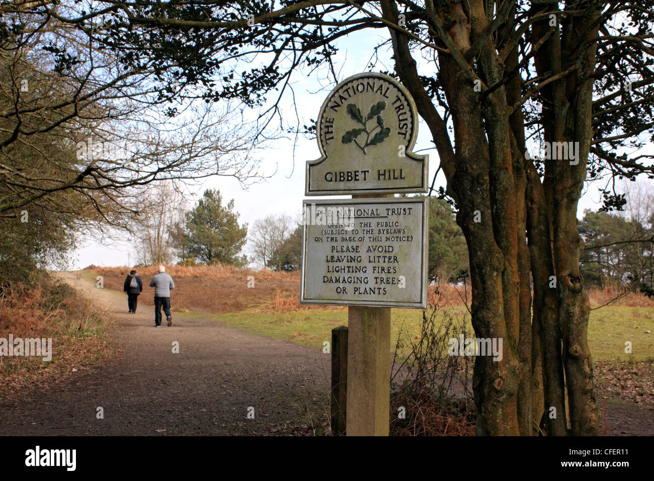 Gibbet Hill, Hindhead Surrey England UK Stock Photo Alamy