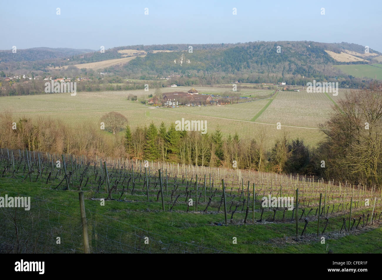 View over Denbies wine estate, near Dorking, Surrey, England. Stock Photo