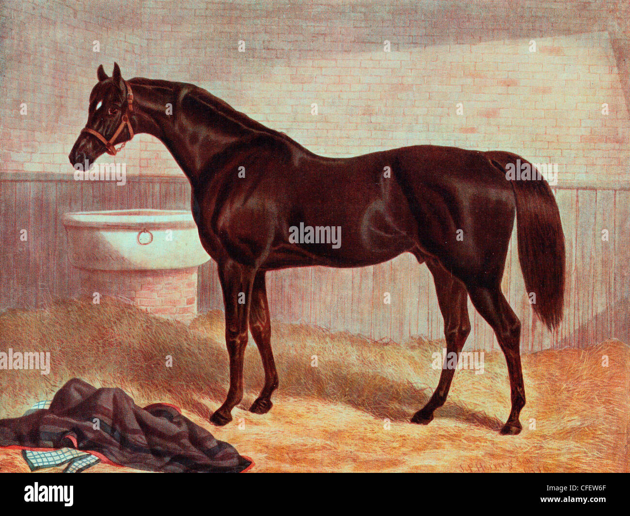 Gladiator - racehorse, England circa 1836 Stock Photo
