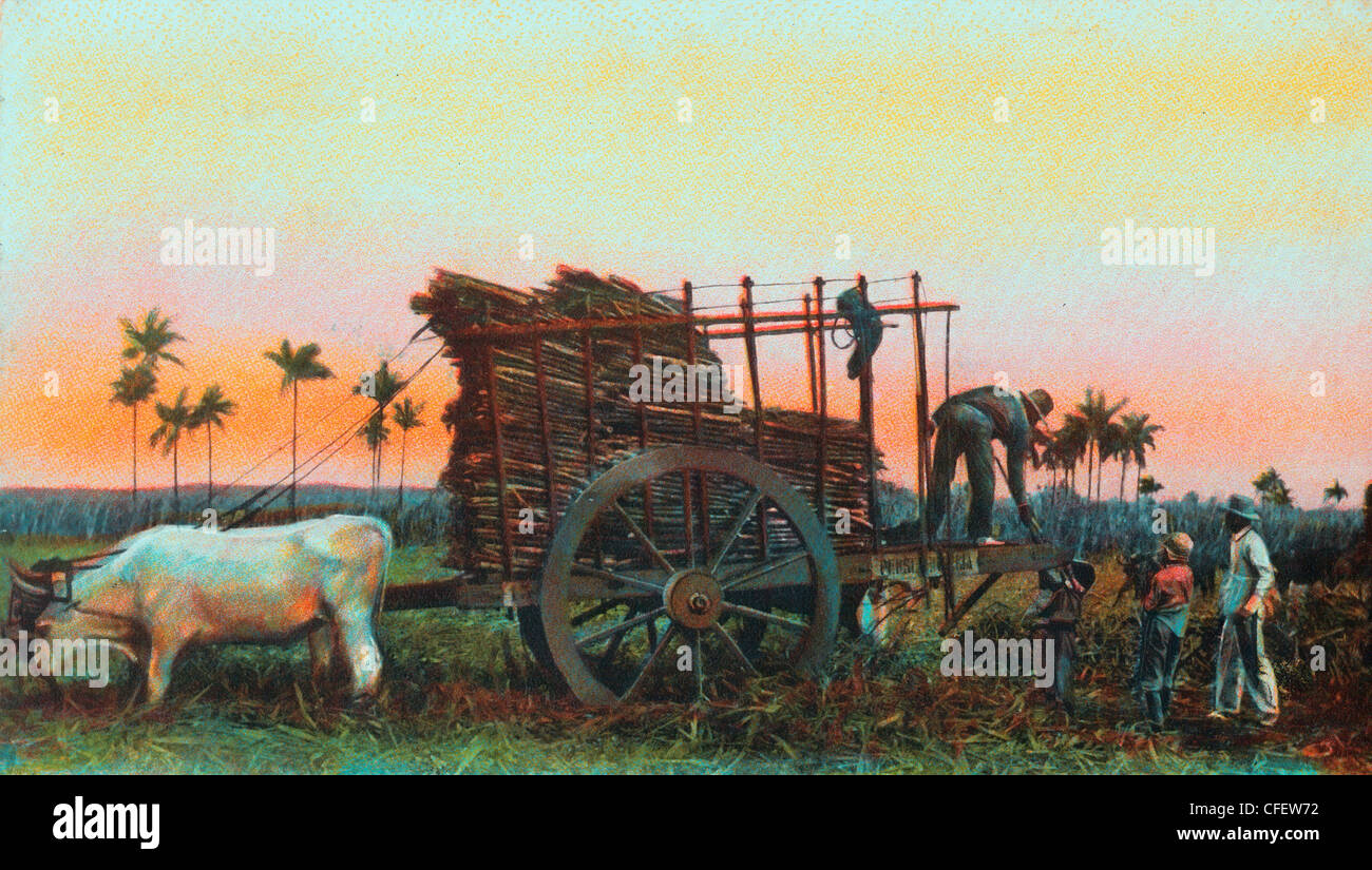Ox cart vintage hi-res stock photography and images - Alamy