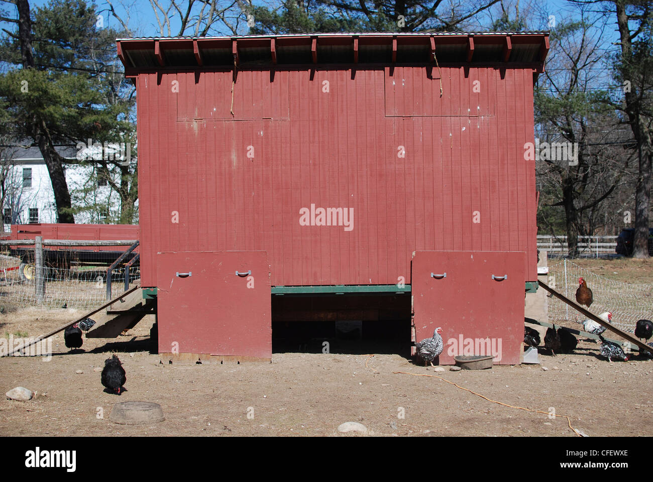 Hen house hires stock photography and images Alamy