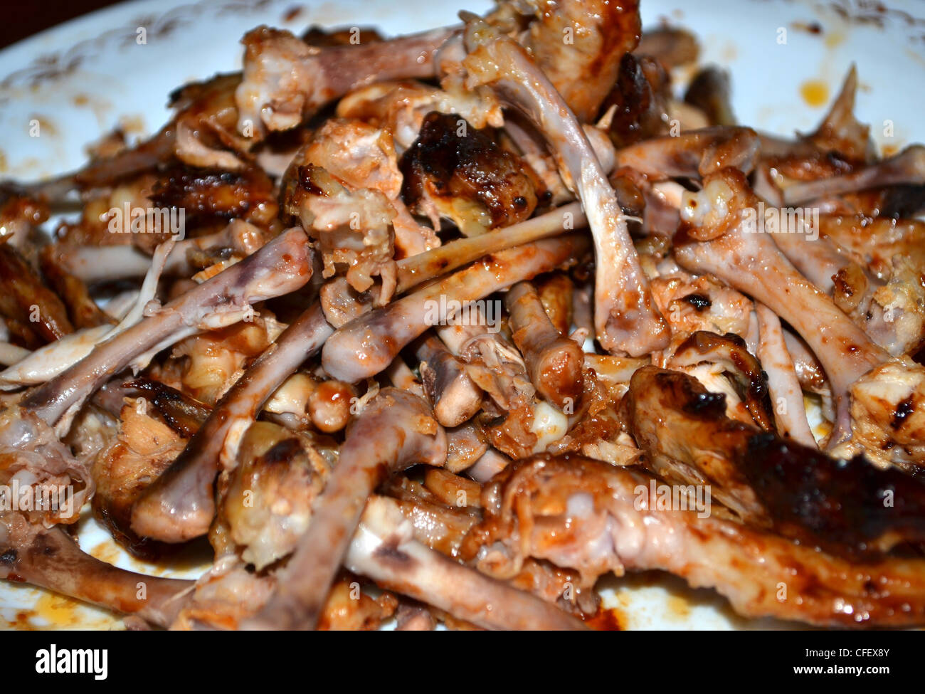 Can Dogs Eat Chicken Wing Bones