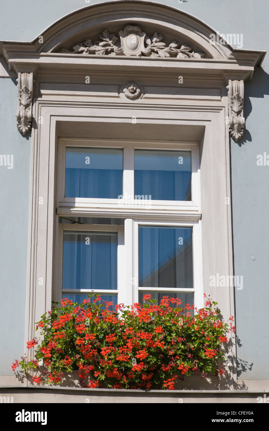 Window of Goldener Adler Hotel at Hauptmarkt, Main Market, Bautzen, Germany Stock Photo