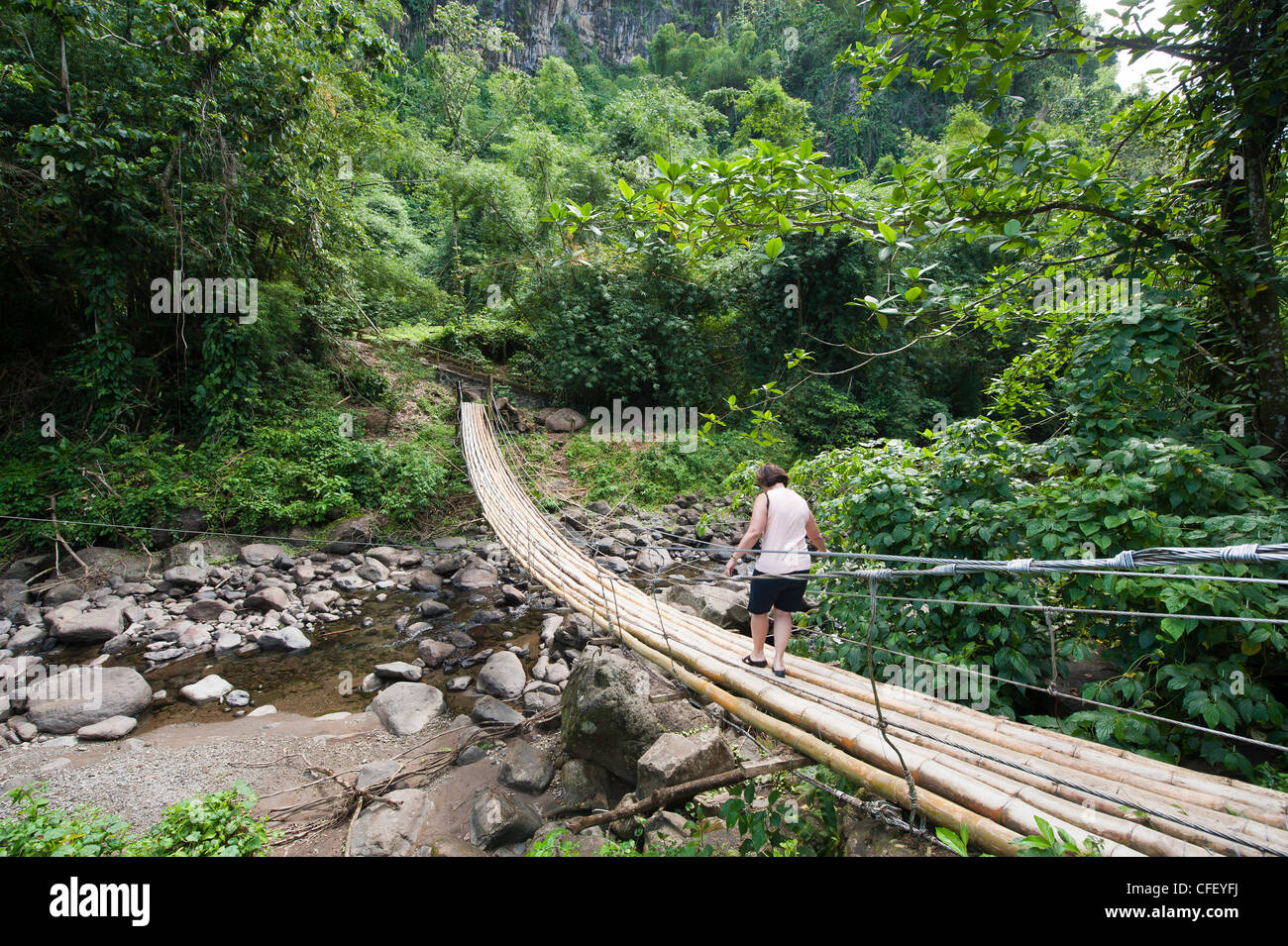Bamboo bridge at Dark View Falls, St. Vincent, St. Vincent and The Grenadines, Windward Islands, West Indies, Caribbean Stock Photo