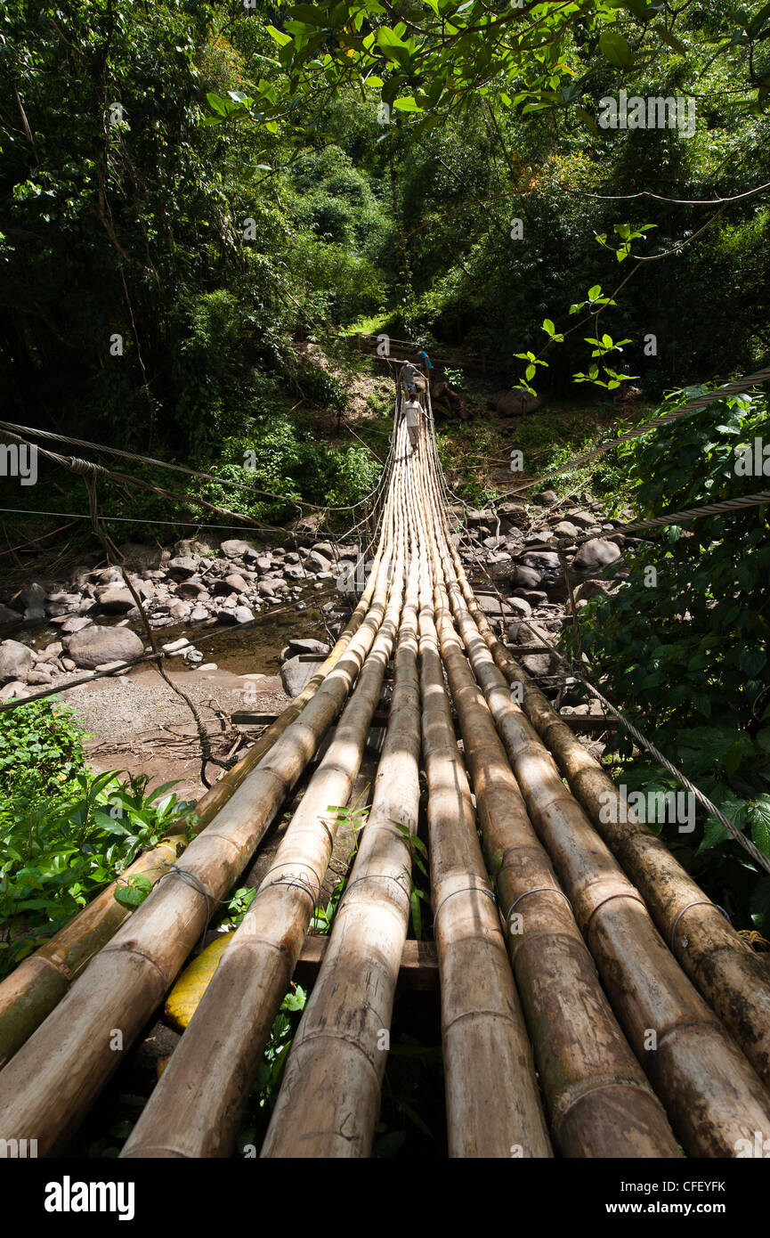 Bamboo bridge at Dark View Falls, St. Vincent and The Grenadines, Windward Islands, West Indies, Caribbean, Central America Stock Photo