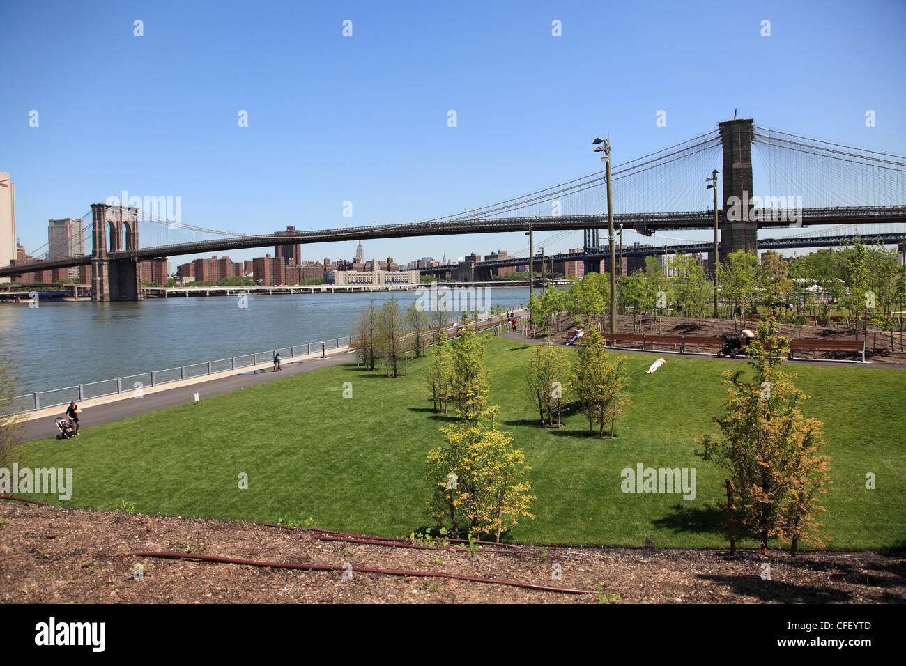 Recently opened Pier 1, part of Brooklyn Bridge Park, Brooklyn, New York City, United States of America, Stock Photo