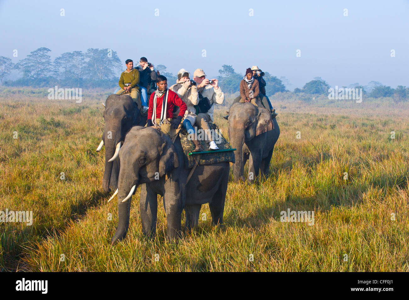 Tourists on elephants, Kaziranga National Park, UNESCO World Heritage Site, Assam, Northeast India, India, Asia Stock Photo