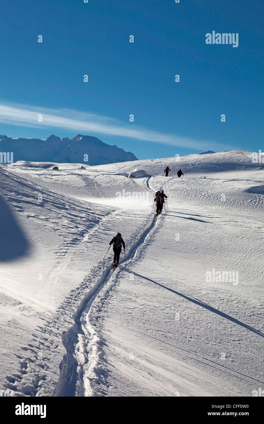 Ski touring, ski mountaineering in the Dolomites, Piz Boe, eastern Alps, Bolzano, South Tyrol, Italy, Europe Stock Photo