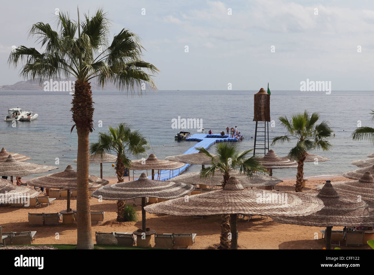 Sunshades and palm trees by the beach at White Knight Beach, Sharm el-Sheikh, Egypt, North Africa, Africa Stock Photo