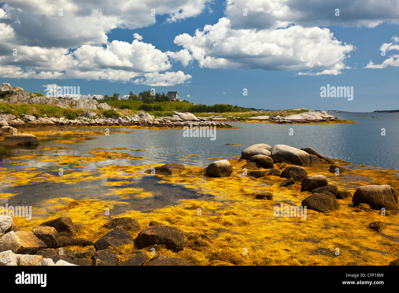 Prospect bay nova scotia hires stock photography and images Alamy