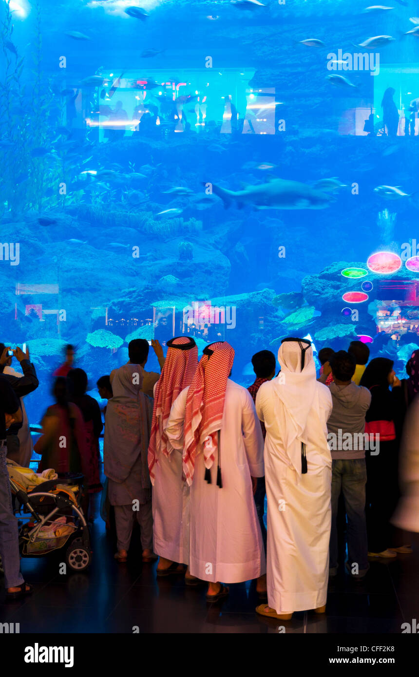 Aquarium, Dubai Mall, Dubai, United Arab Emirates, Middle East Stock Photo