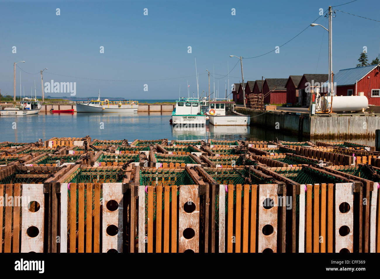 Fishing boats tied up at wharf, Fortune Bay Harbour, Prince Edward