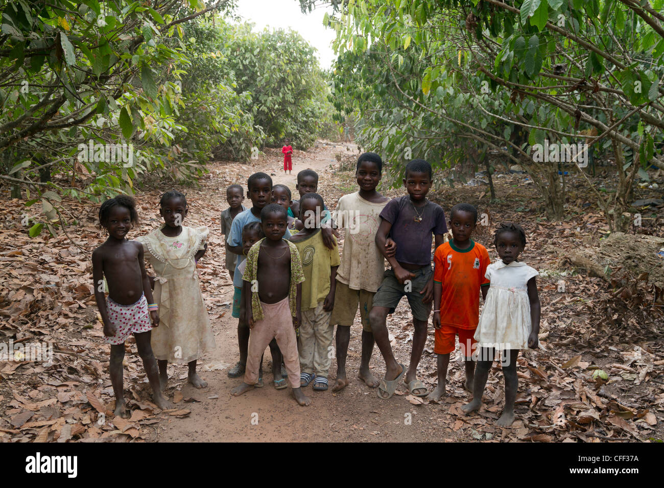 Children surrounded of cacao trees,Dukoue,Ivory Coast ,Cote d'Ivoire,West Africa Stock Photo