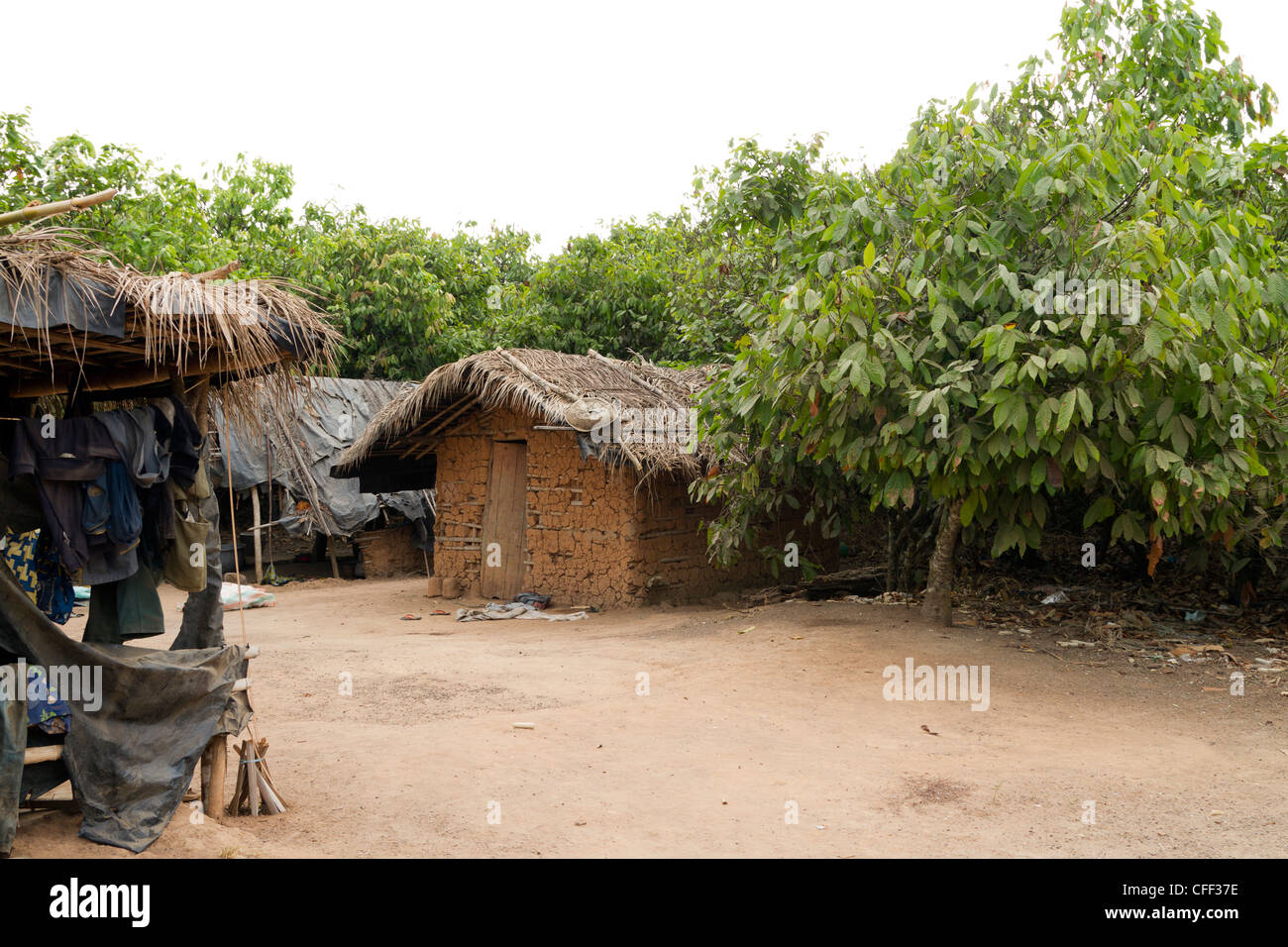 A Village surrounded by cacao trees ,Dukoue,Ivory Coast ,Cote d'Ivoire,West Africa Stock Photo