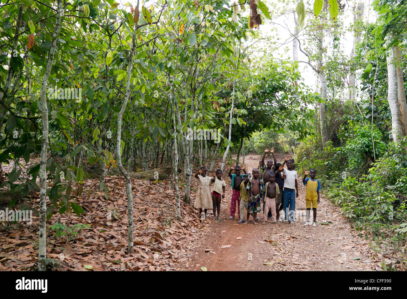 Children surrounded of cacao trees,Dukoue,Ivory Coast ,Cote d'Ivoire,West Africa Stock Photo