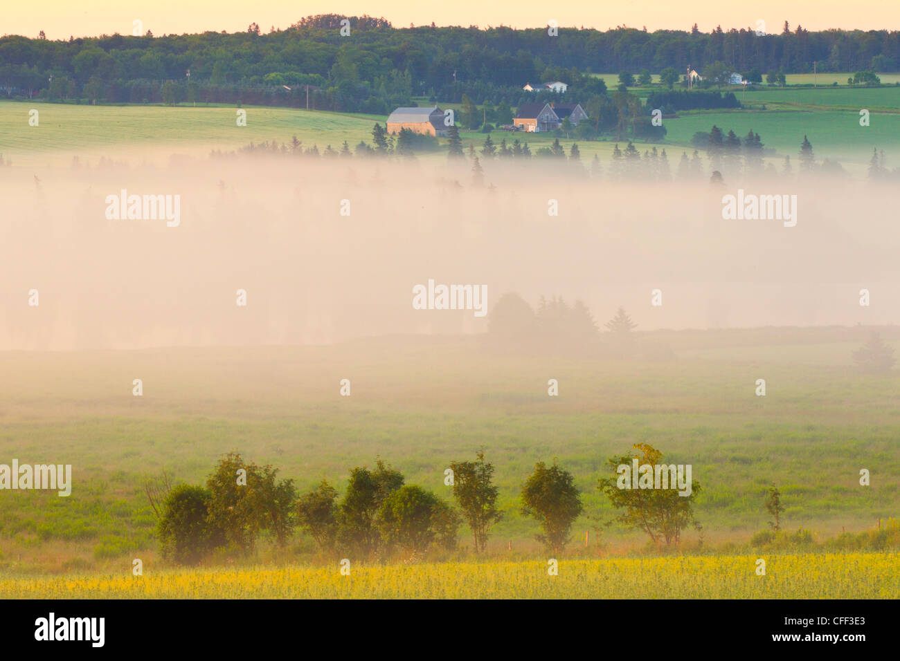 Early morning ground fog, Clyde River, Prince Edward Island, Canada